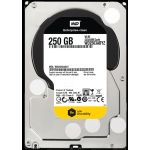 Western Digital WD2503ABYZ 250GB 7200 RPM 64MB Cache Sata 3.5" Harddisk