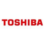 Toshiba Portege Z10T-A-109 11.6 inch Notebook Paneli Ekranı