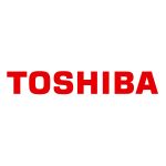 Toshiba Portege Z10T-A-10M 11.6 inch Notebook Paneli Ekranı