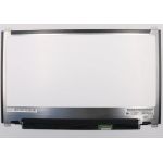 Lenovo ThinkPad L390 Type (20NR, 20NS) 13.3 inç eDP Laptop Paneli