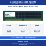 256GB DDR5-6400 RDIMM 4Rx4 ECC Sunucu RAM