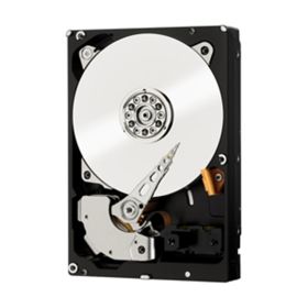 WD1003FBYZ WESTERN DIGITAL RE 1TB 3.5" SATA III Hard Disk