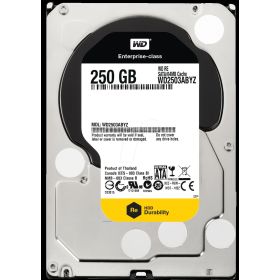 Western Digital WD2503ABYZ 250GB 7200 RPM 64MB Cache Sata 3.5" Harddisk