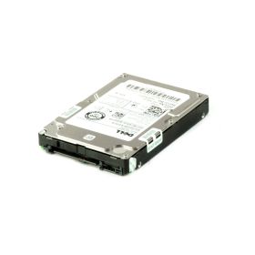 Fujitsu Primergy RX300 S5 Uyumlu 2.5inch 300G 10K 6G SAS Disk