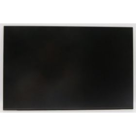 Lenovo ThinkBook 16p G2 ACH (Type 20YM) 20YM001HTX 16.0" IPS LCD Paneli
