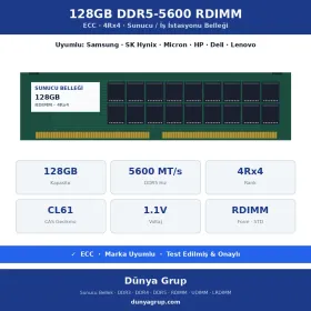 128GB DDR5-5600 RDIMM 4Rx4 ECC Sunucu RAM