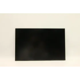 Lenovo T16 Gen 1 (Type 21BV, 21BW) 21BWS3JR00 16" WUXGA IPS 300nit Laptop Ekran Panel -1