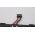 Lenovo ThinkPad X13 Yoga Gen 1 (Type 20SY) Orjinal Laptop Bataryası