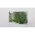 Lenovo S145-15AST 81N30048TX Orjinal Laptop Anakart 5B20S41905