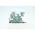 Lenovo P15v Gen 1 type (20TQ, 20TR) 20TRS0AL00 Orjinal Laptop Anakart 5B20Z48043