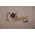 Lenovo T14 Gen 3 (Type 21AH, 21AJ) 21AJS0E700 Orjinal Laptop Soğutucu Heatsınk-1