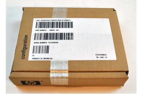 HP Proliant DL380 G6 G7 Smart Array RAID CONTROLLER BATTERY